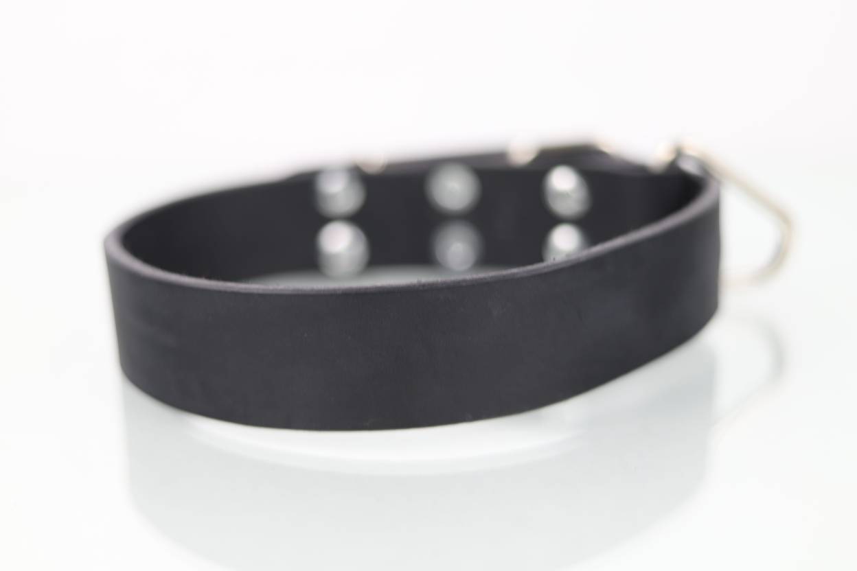 Collar de Agitación para Perro de Piel, 4cm de ancho