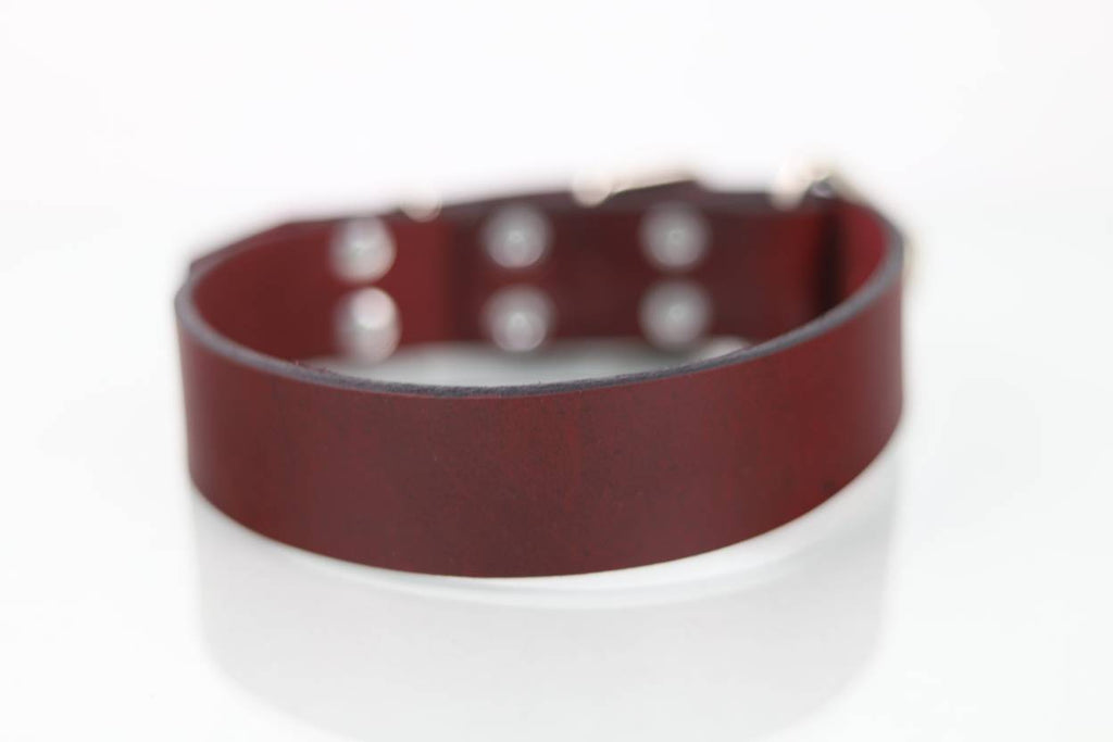 Collar de Agitación para Perro de Piel, 4cm de ancho