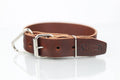 Collar de Agitación para Perro de Piel, 4cm de ancho