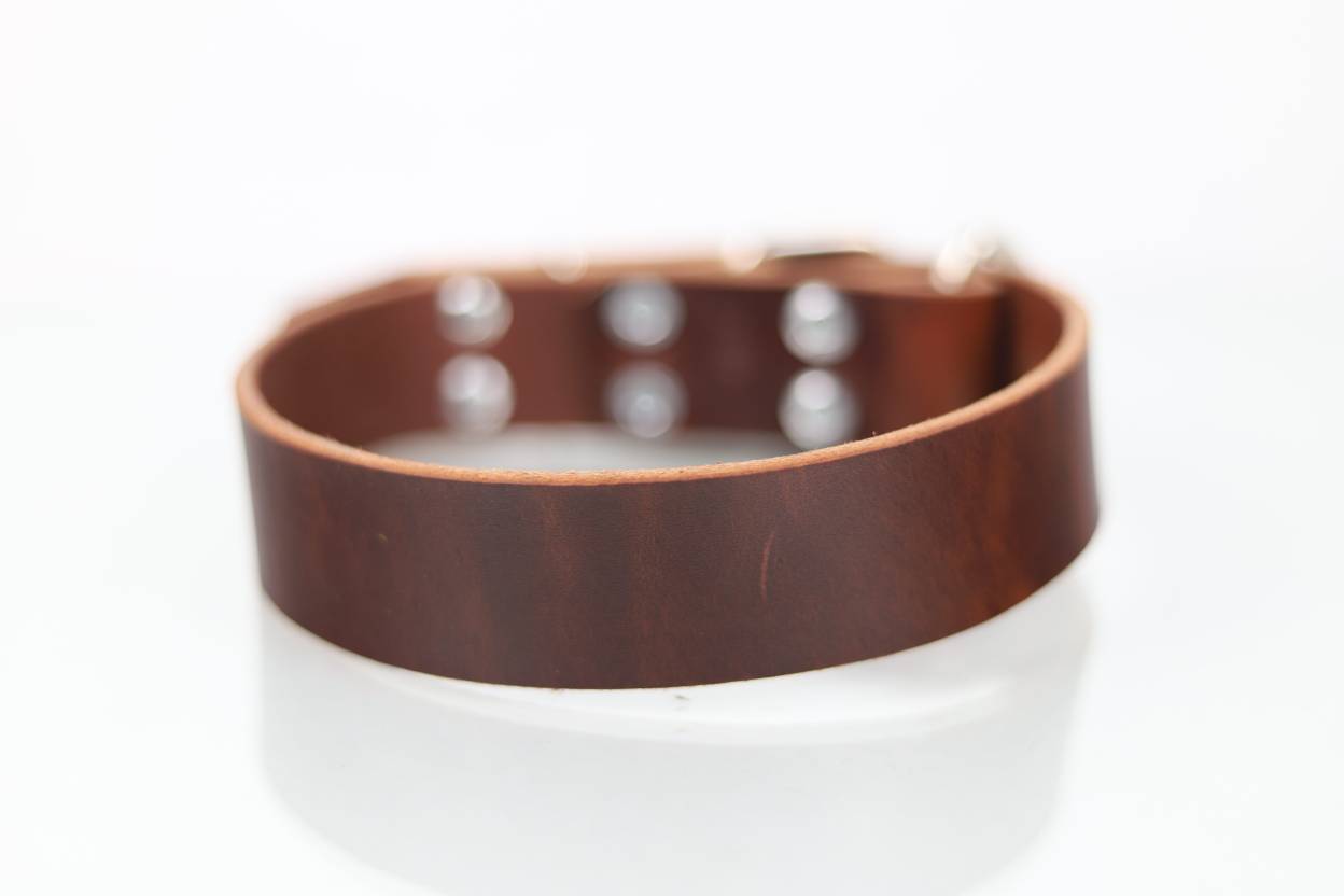 Collar de Agitación para Perro de Piel, 4cm de ancho
