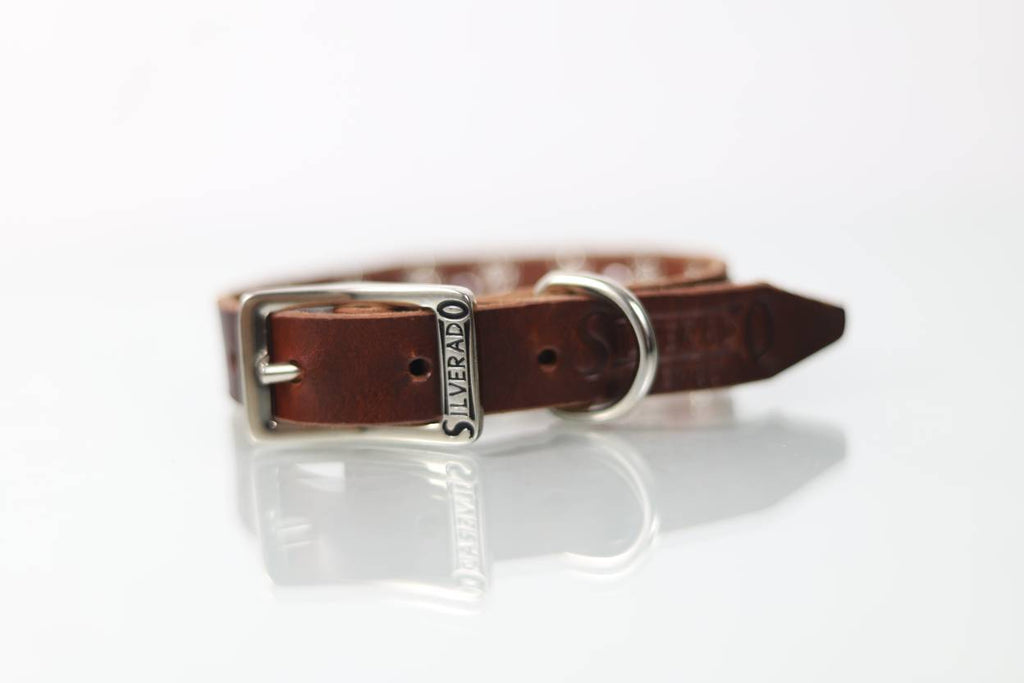 Collar Bala para Perro de Piel, 2cm de ancho