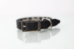 Collar Bala para Perro de Piel, 2cm de ancho