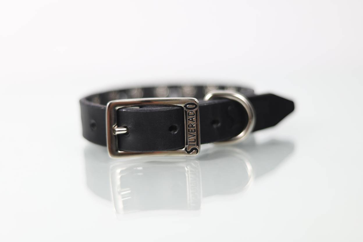 Collar Bala para Perro de Piel, 2cm de ancho