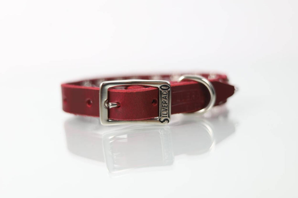 Collar Bala para Perro de Piel, 2cm de ancho