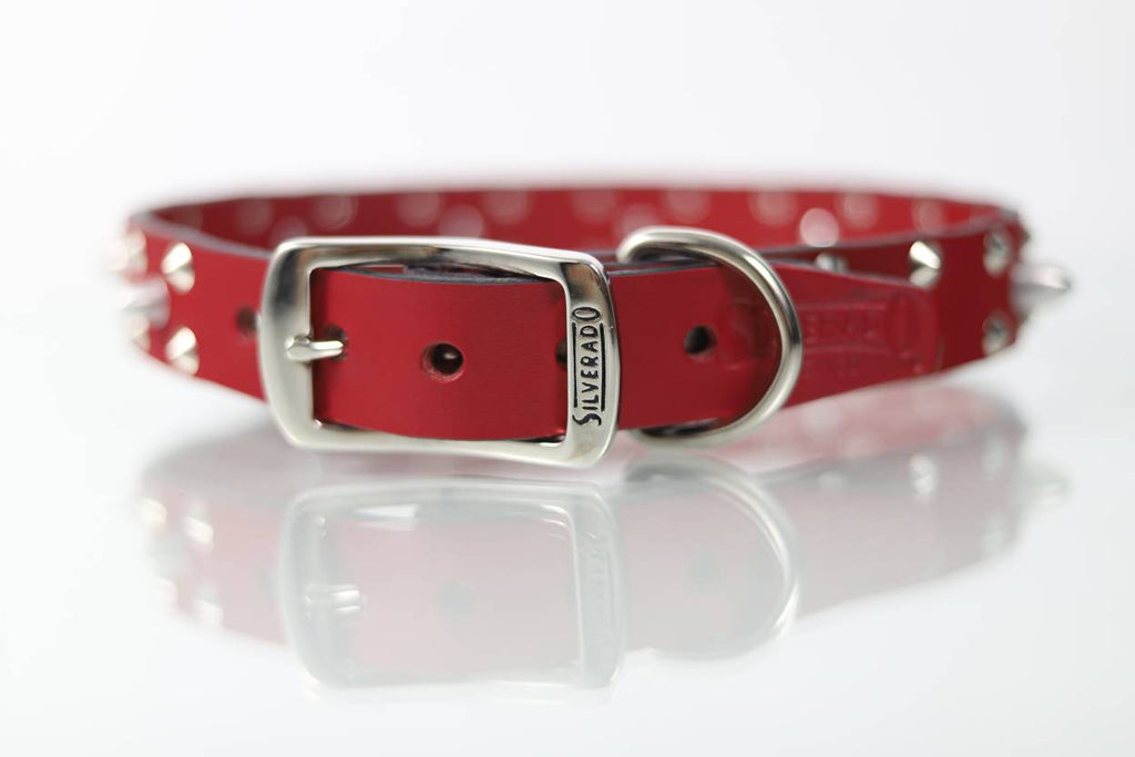 Collar Bala para Perro de Piel, 3cm de ancho