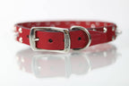 Collar Bala para Perro de Piel, 3cm de ancho