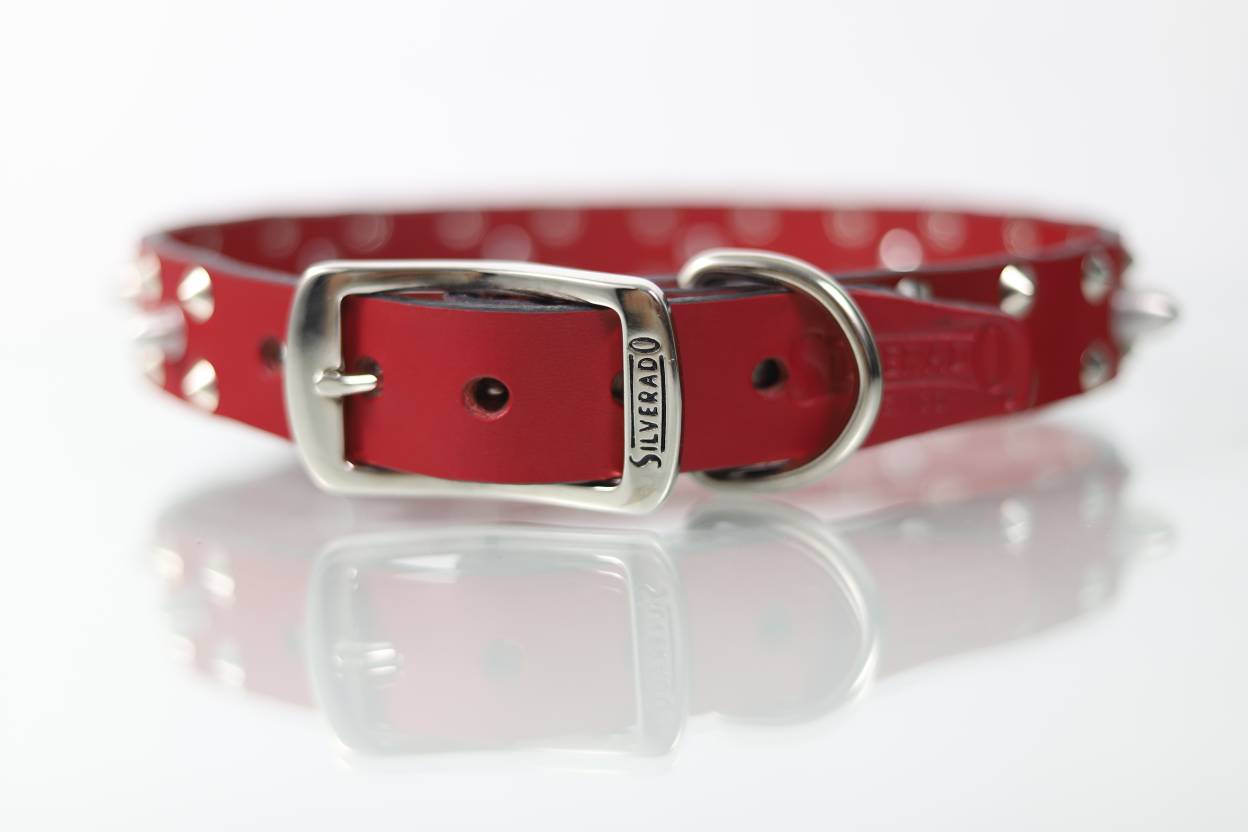 Collar Bala para Perro de Piel, 3cm de ancho