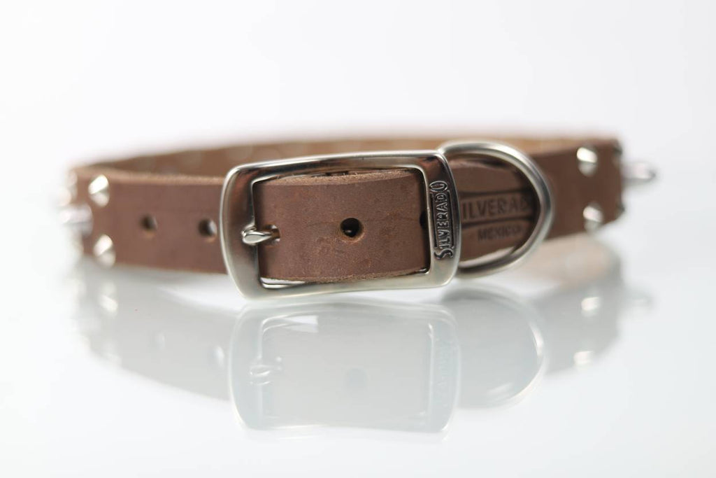 Collar Bala para Perro de Piel, 3cm de ancho