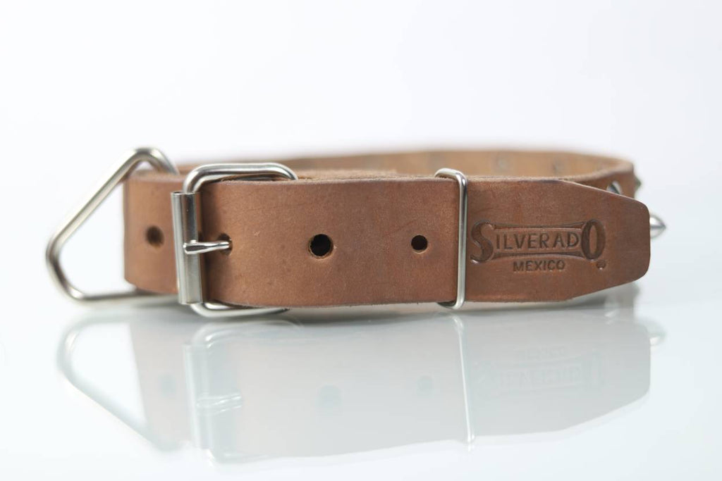 Collar Bala para Perro de Piel, 4cm de ancho