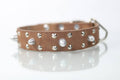 Collar Bala para Perro de Piel, 4cm de ancho
