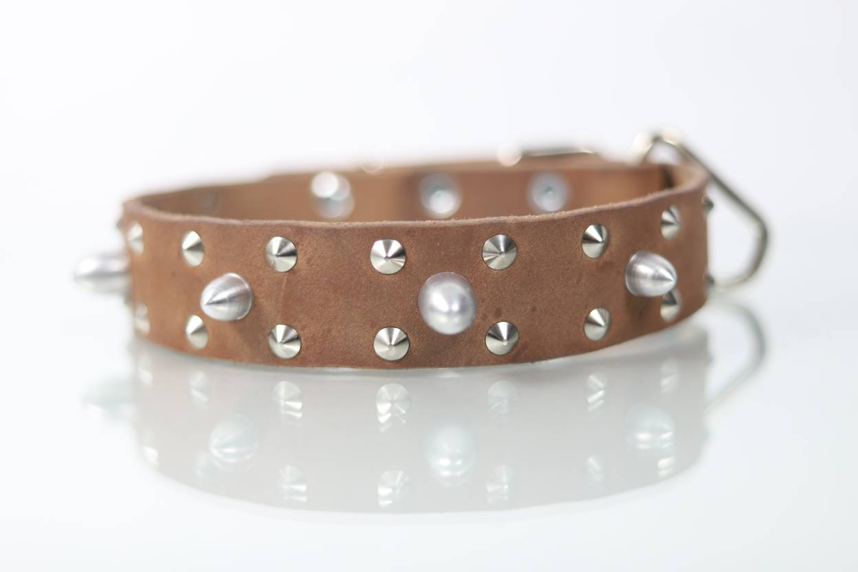 Collar Bala para Perro de Piel, 4cm de ancho