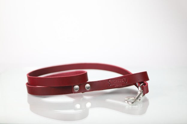Correa Cocker para Perro de Piel, 2cm × 1.20m