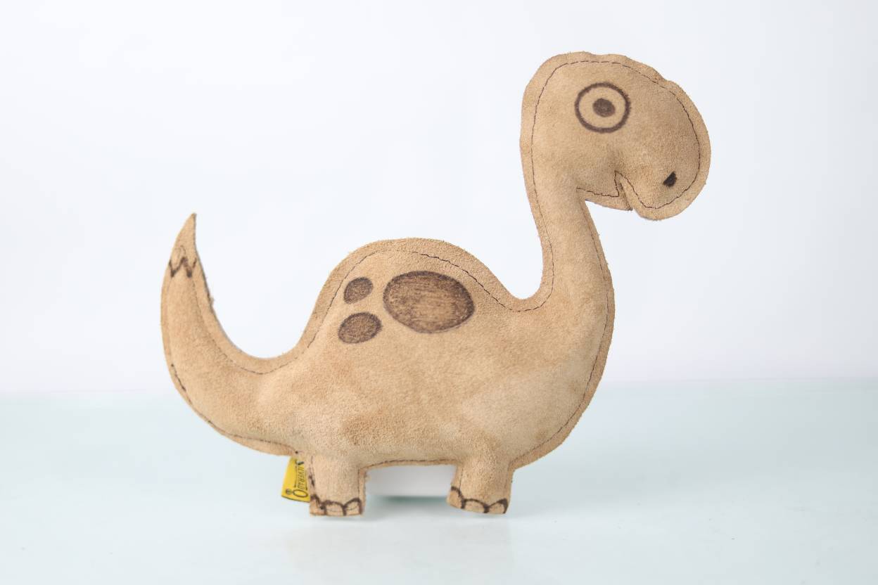 Dinocarnaza Chillón