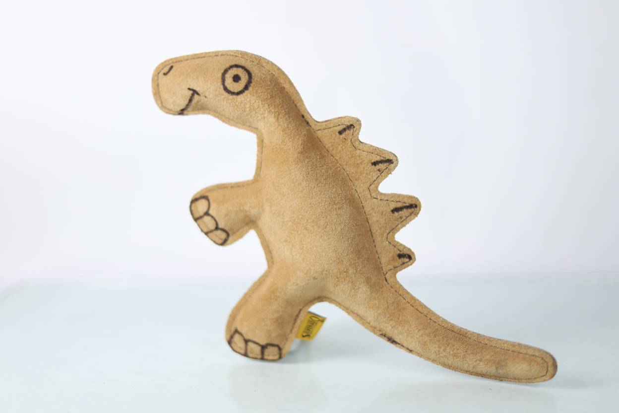 Dinocarnaza Chillón