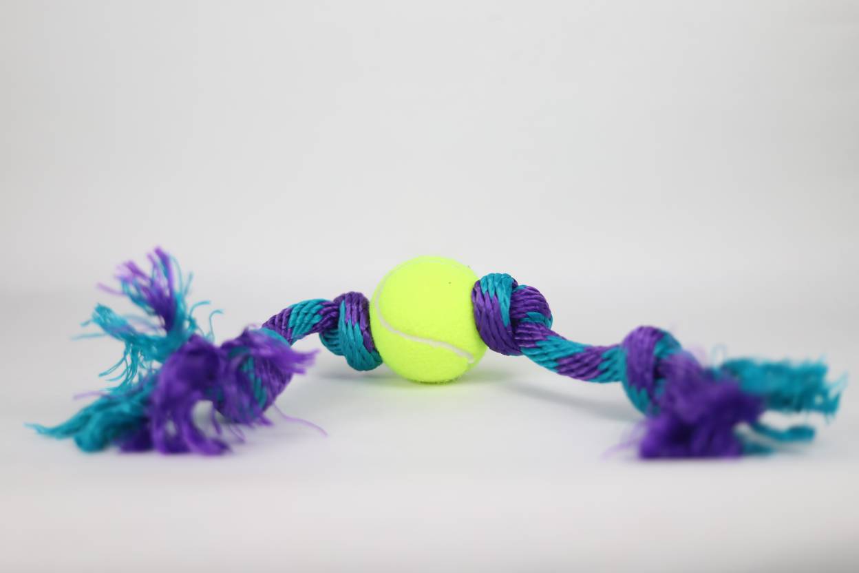 Pelota con Soga Grande