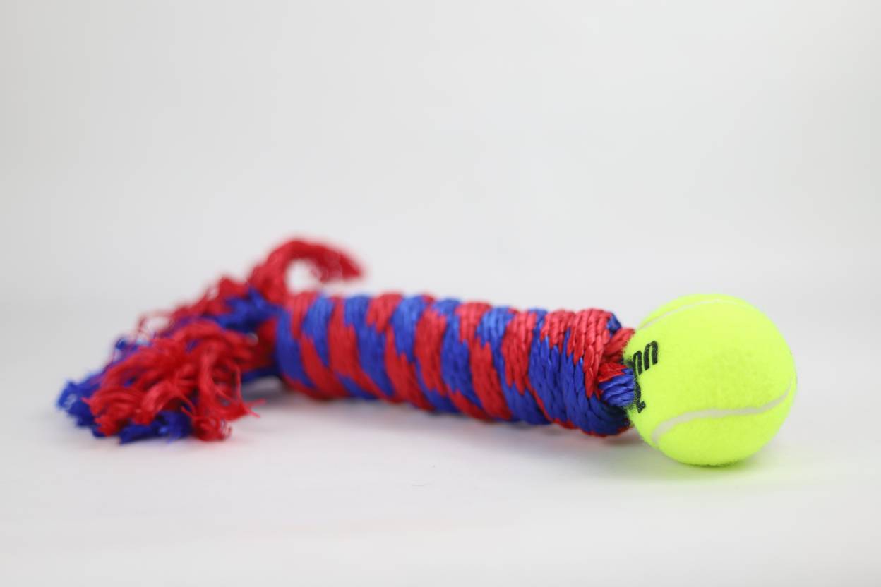 Gusano con Pelota Grande