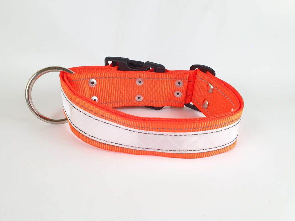 Collar Blister con Reflejante para Perro, 5cm de ancho