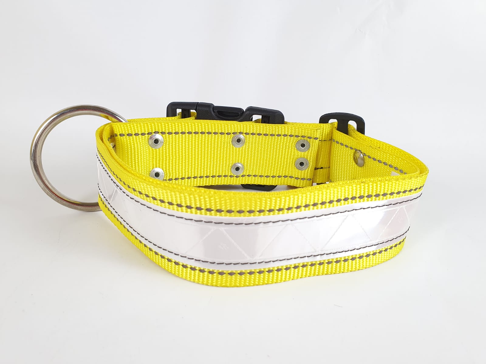 Collar Blister con Reflejante para Perro, 5cm de ancho