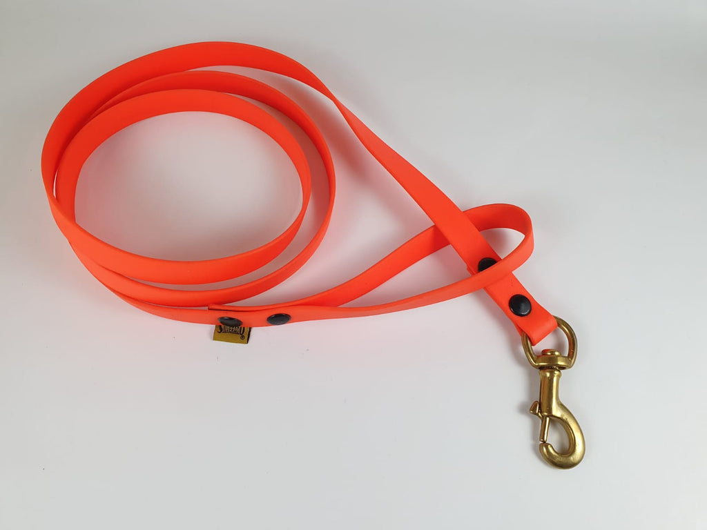 Correa para Perro de Biothane, 2cm × 1.80m