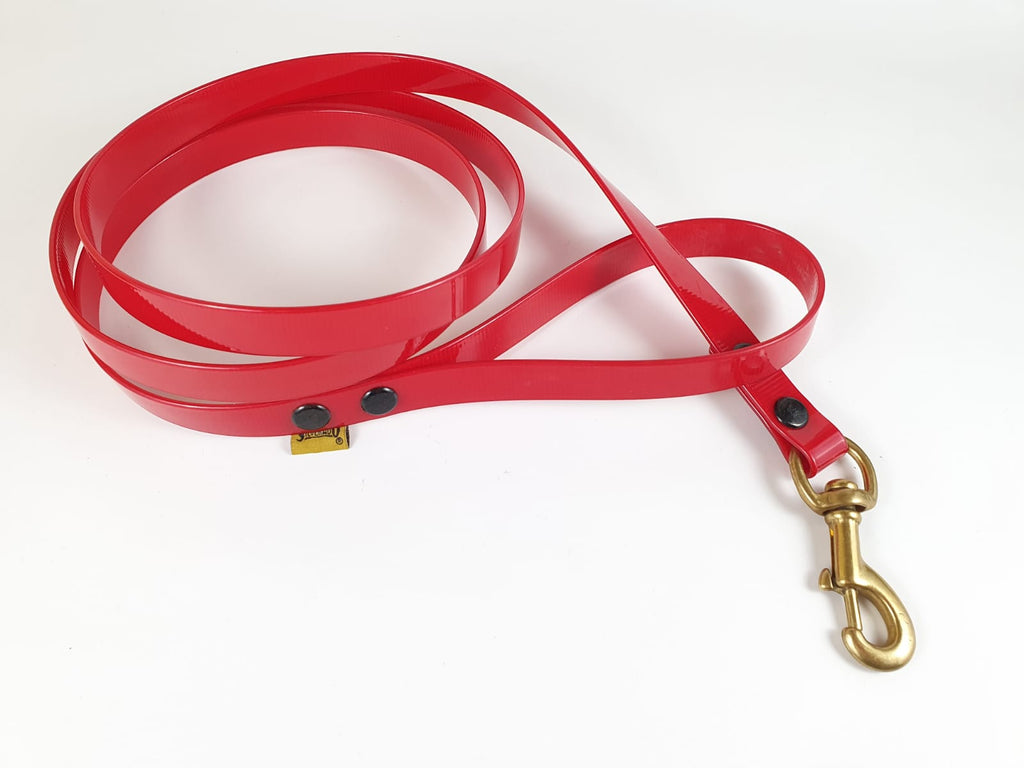 Correa para Perro de Biothane, 2cm × 1.80m