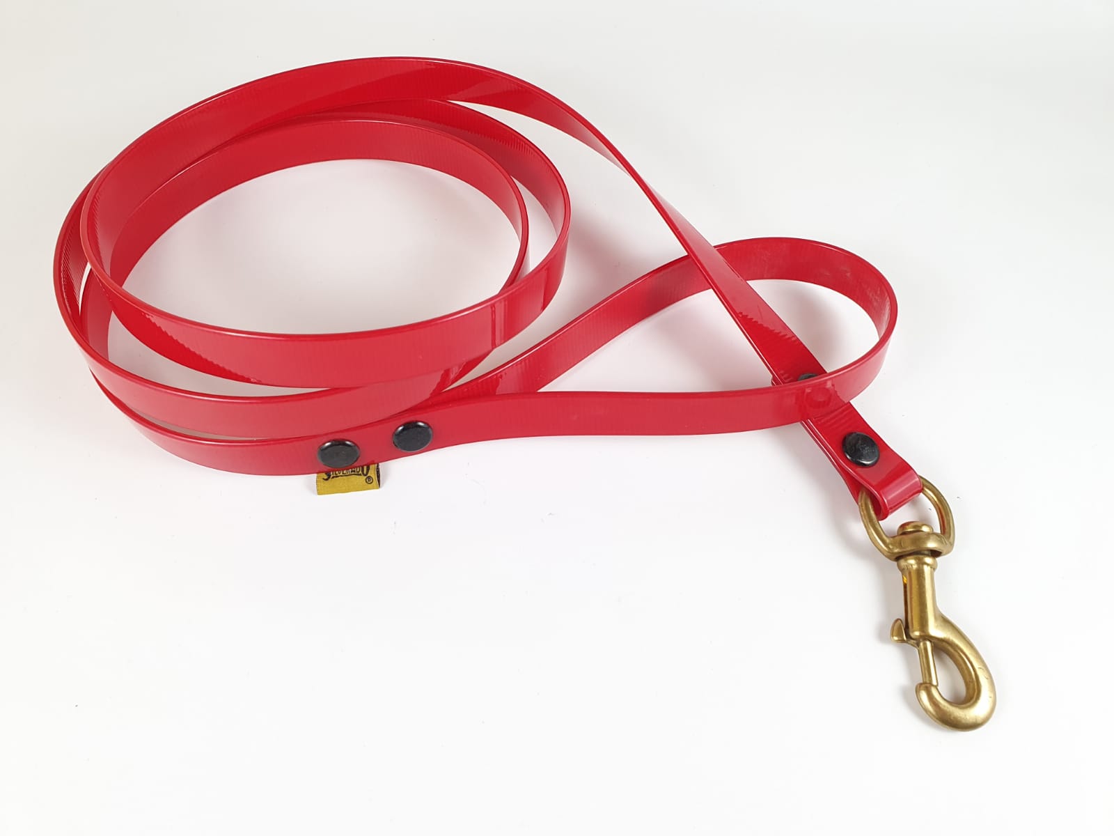 Correa para Perro de Biothane, 2cm × 1.80m