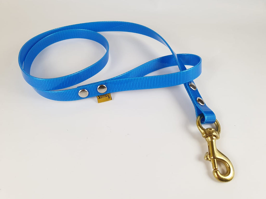 Correa para Perro de Biothane, 2cm × 1.20m