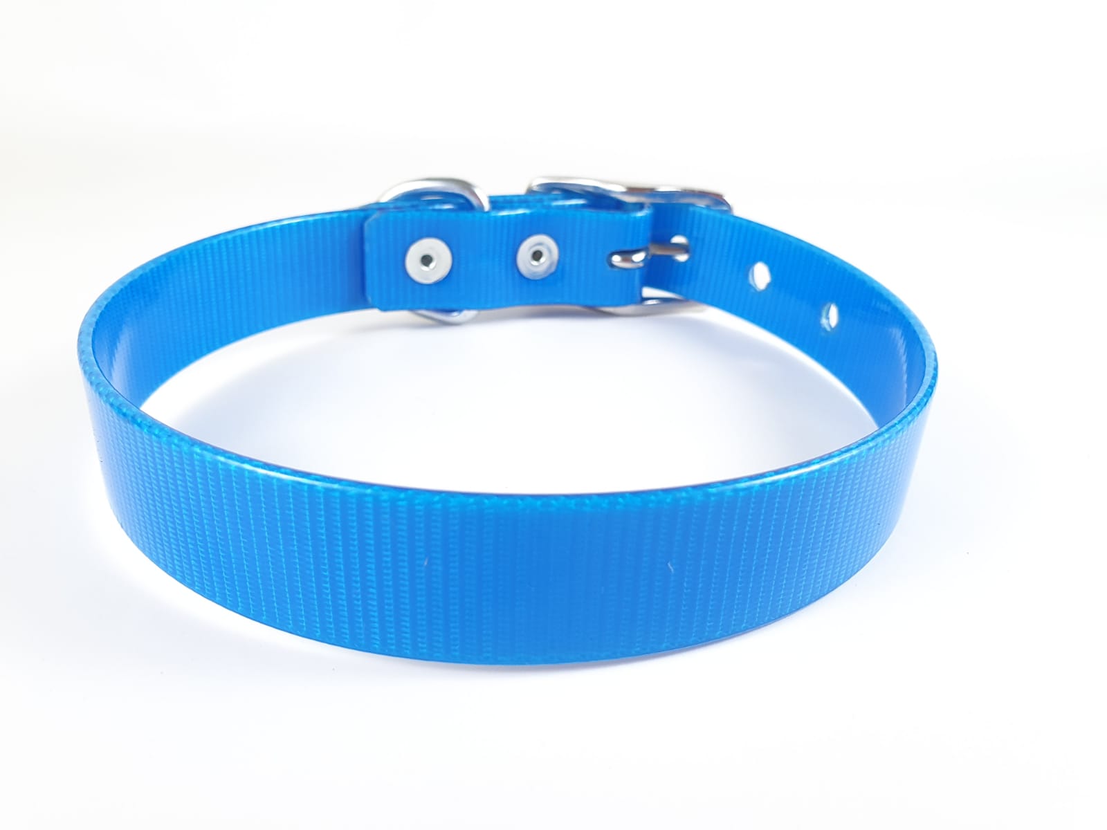 Collar con Hebilla para Perro de Biothane, 2.5cm de ancho