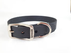 Collar con Hebilla para Perro de Biothane, 2.5cm de ancho