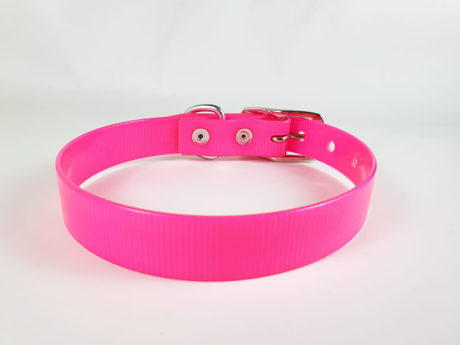 Collar con Hebilla para Perro de Biothane, 2.5cm de ancho