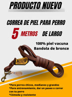 Correa Larga para Perro de Piel, 2cm × 5m